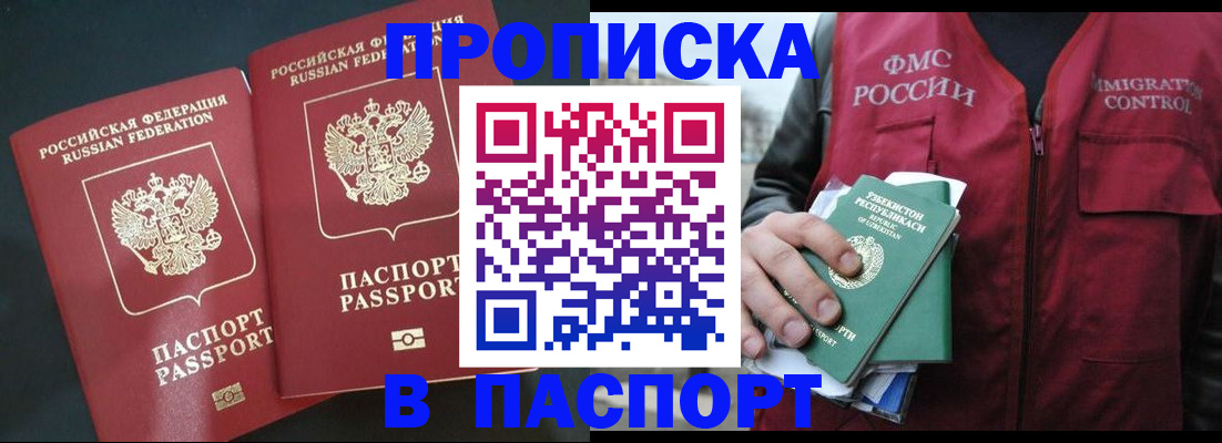 прописка 2025 в Камышине